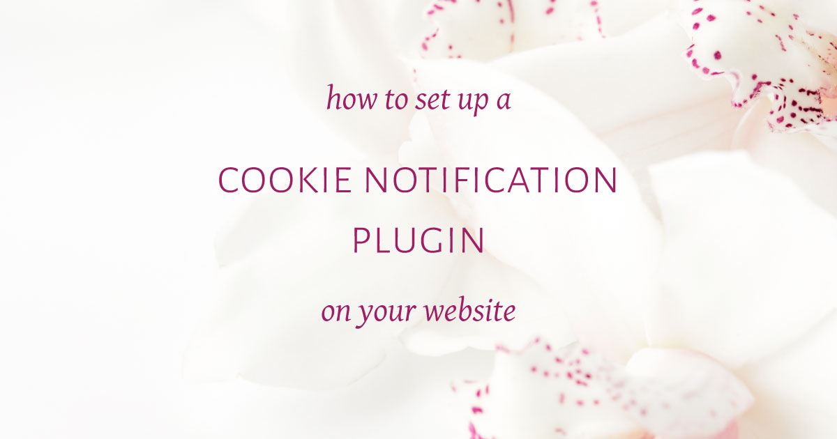 how-to-set-up-a-cookie-notification-plugin-website