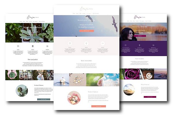 preview-different-design-styles-divine-website-pack 